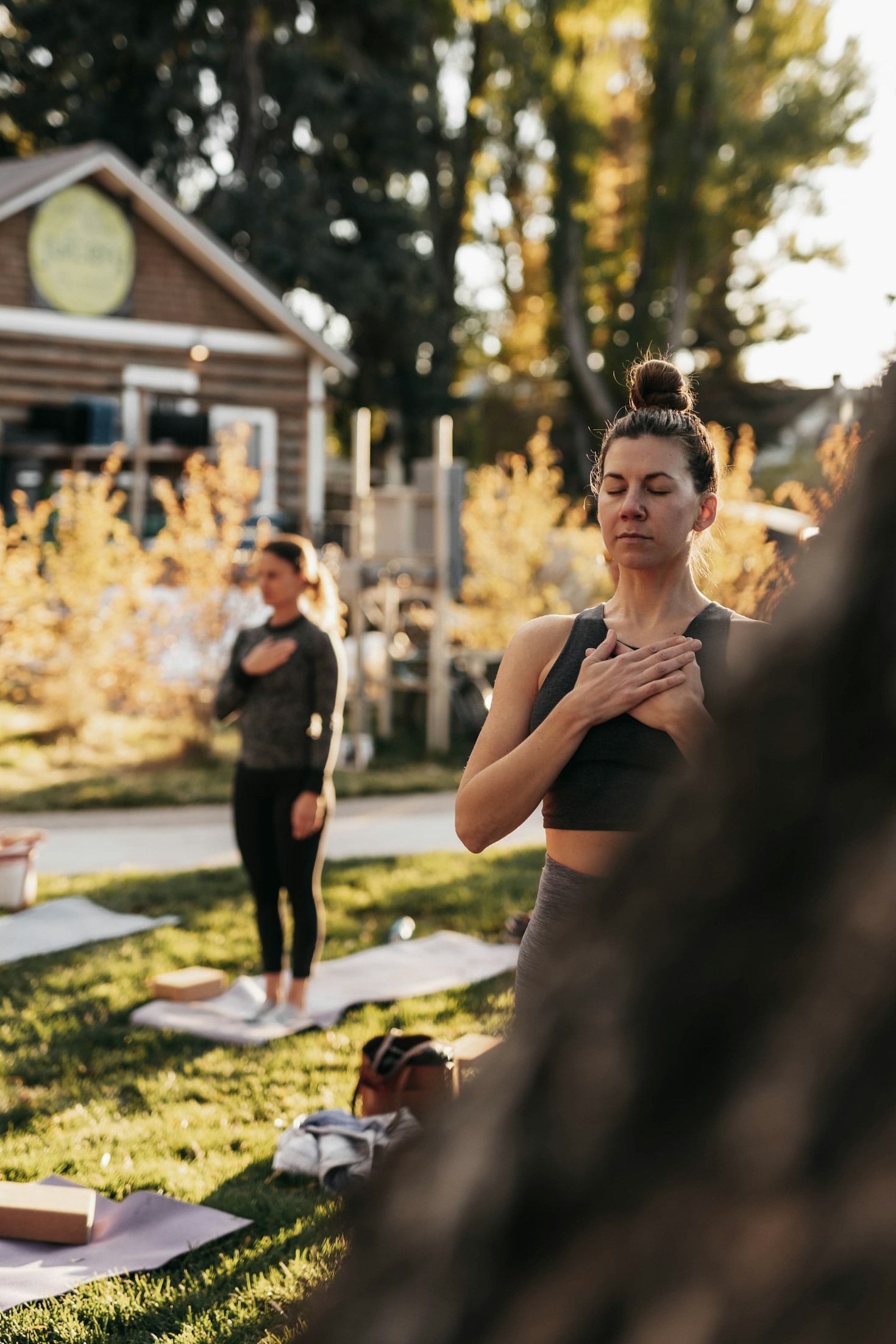 The Role of AI in Modern Holistic Health